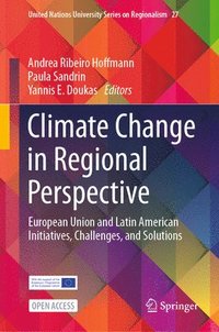 bokomslag Climate Change in Regional Perspective