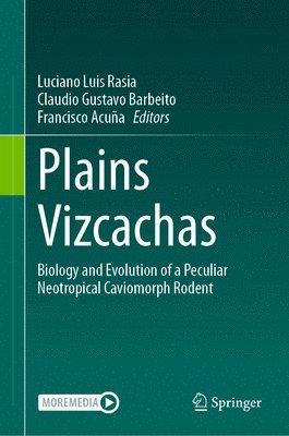 Plains Vizcachas 1