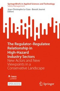 bokomslag The RegulatorRegulatee Relationship in High-Hazard Industry Sectors