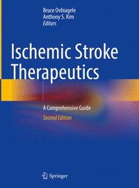 bokomslag Ischemic Stroke Therapeutics