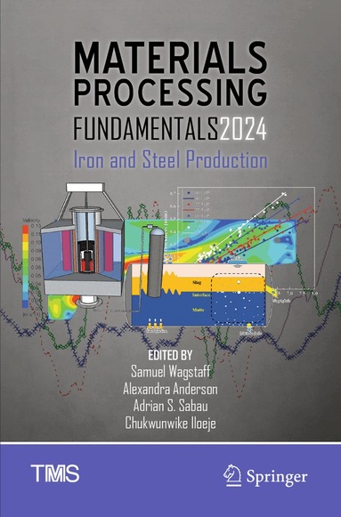 Samuel Wagstaff, Alexandra Anderson, Adrian S. Sabau, Chukwunwike Iloeje - Materials Processing Fundamentals 2024, Häftad