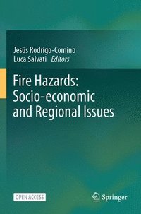 bokomslag Fire Hazards: Socio-economic and Regional Issues