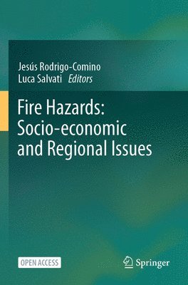 Fire Hazards: Socio-economic and Regional Issues 1