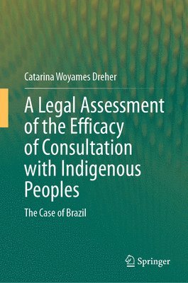 bokomslag Legal Assessment of the Efficacy of Consultation with Indigenous Peoples