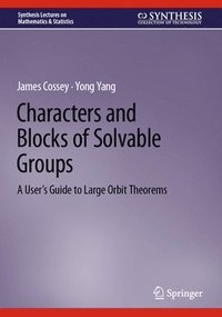 bokomslag Characters and Blocks of Solvable Groups