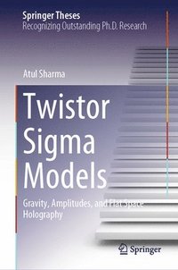 bokomslag Twistor Sigma Models