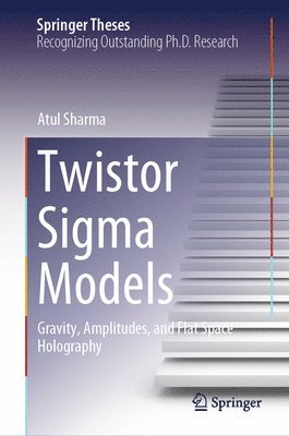 Twistor Sigma Models 1