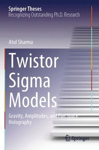 bokomslag Twistor Sigma Models