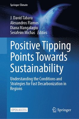 bokomslag Positive Tipping Points Towards Sustainability