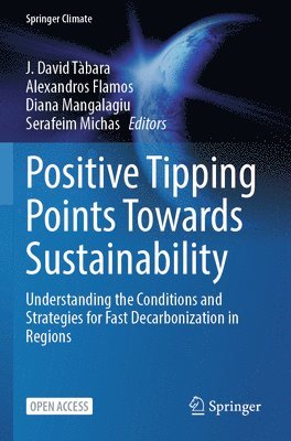 bokomslag Positive Tipping Points Towards Sustainability