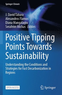 Positive Tipping Points Towards Sustainability 1