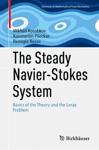 bokomslag The Steady Navier-Stokes System
