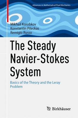 The Steady Navier-Stokes System 1