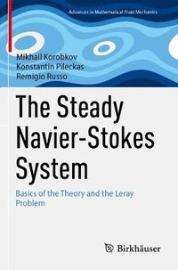 bokomslag Steady Navier-Stokes System