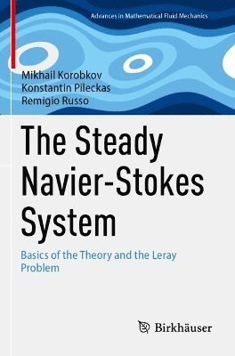 bokomslag Steady Navier-Stokes System