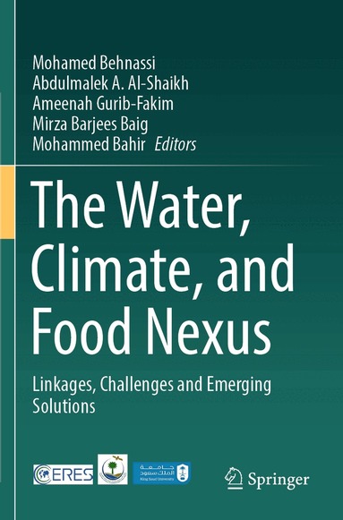 Mohamed Behnassi, Abdulmalek A. Al-Shaikh, Ameenah Gurib-Fakim, Mirza Barjees Baig, Mohammed Bahir - Water, Climate, and Food Nexus, Häftad