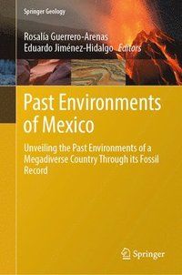 bokomslag Past Environments of Mexico