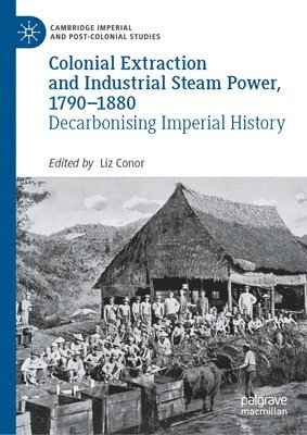 bokomslag Colonial Extraction and Industrial Steam Power, 1790-1880