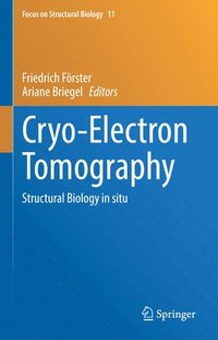 bokomslag Cryo-Electron Tomography