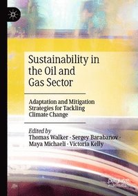 bokomslag Sustainability in the Oil and Gas Sector