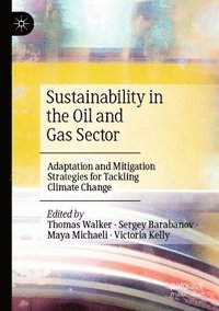 bokomslag Sustainability in the Oil and Gas Sector