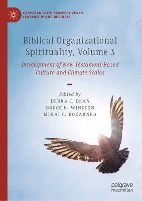 bokomslag Biblical Organizational Spirituality, Volume 3