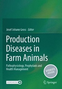 bokomslag Production Diseases in Farm Animals