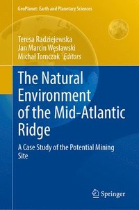 bokomslag The Natural Environment of the Mid-Atlantic Ridge