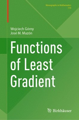 bokomslag Functions of Least Gradient