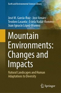 bokomslag Mountain Environments: Changes and Impacts