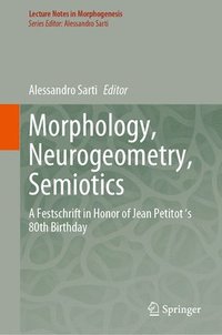 bokomslag Morphology, Neurogeometry, Semiotics
