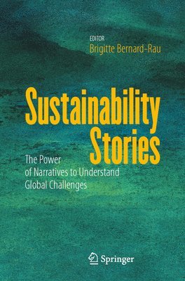 bokomslag Sustainability Stories