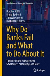 bokomslag Why Do Banks Fail and What to Do About It