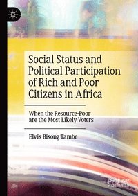 bokomslag Social Status and Political Participation of Rich and Poor Citizens in Africa