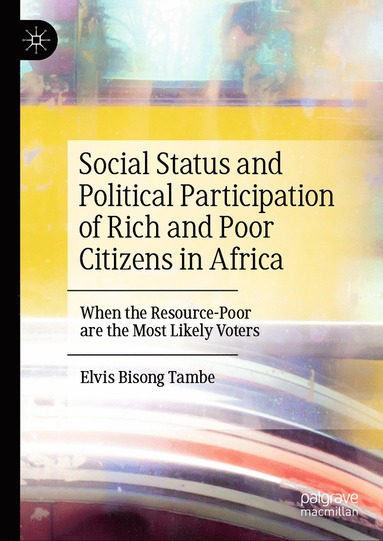 bokomslag Social Status and Political Participation of Rich and Poor Citizens in Africa