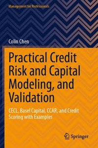 bokomslag Practical Credit Risk and Capital Modeling, and Validation