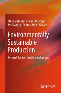 bokomslag Environmentally Sustainable Production
