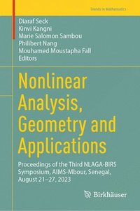 bokomslag Nonlinear Analysis, Geometry and Applications