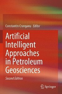 bokomslag Artificial Intelligent Approaches in Petroleum Geosciences