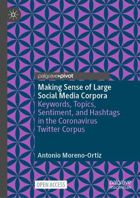 Making Sense of Large Social Media Corpora 1