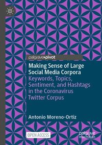 bokomslag Making Sense of Large Social Media Corpora