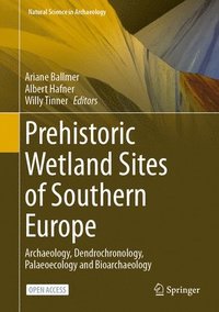 bokomslag Prehistoric Wetland Sites of Southern Europe