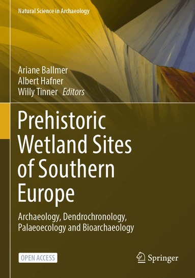 Ariane Ballmer, Albert Hafner, Willy Tinner - Prehistoric Wetland Sites of Southern Europe, Häftad