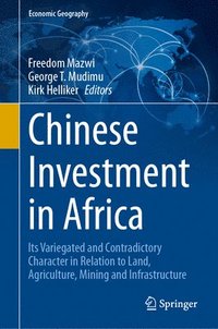 bokomslag Chinese Investment in Africa
