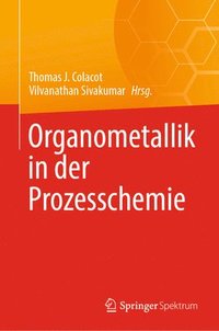 bokomslag Organometallik in der Prozesschemie