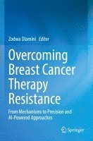 bokomslag Overcoming Breast Cancer Therapy Resistance