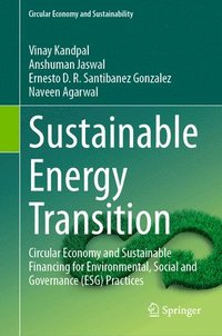 bokomslag Sustainable Energy Transition