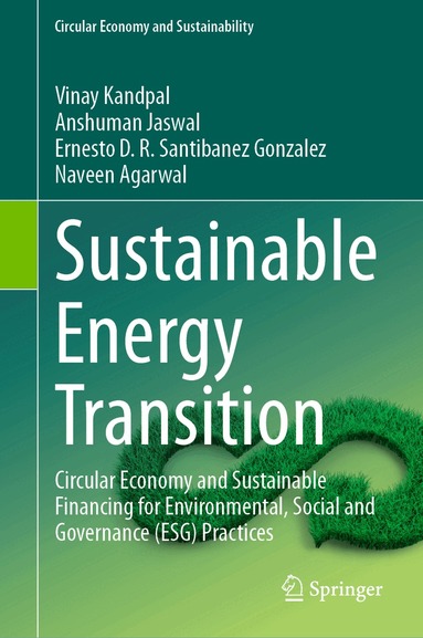 Vinay Kandpal, Anshuman Jaswal, Ernesto D.R. Santibanez Gonzalez, Naveen Agarwal - Sustainable Energy Transition, Inbunden