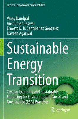 bokomslag Sustainable Energy Transition