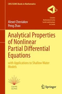 bokomslag Analytical Properties of Nonlinear Partial Differential Equations